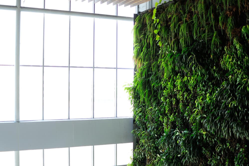 Como limpar o jardim vertical artificial e evitar mofo?