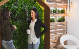 Como planejar um jardim vertical para ambiente interno com grama sintética
